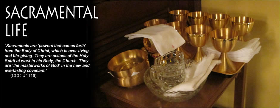 Sacraments are powers that comes forth from the Body of Christ, which is ever-living and life-giving. They are actions of the Holy Spirit at work in his Body, the Church. They are the masterworks of God in the new and everlasting covenant. (CCC  #1116)
